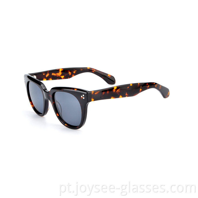 Big Lenses Sunglasses 4